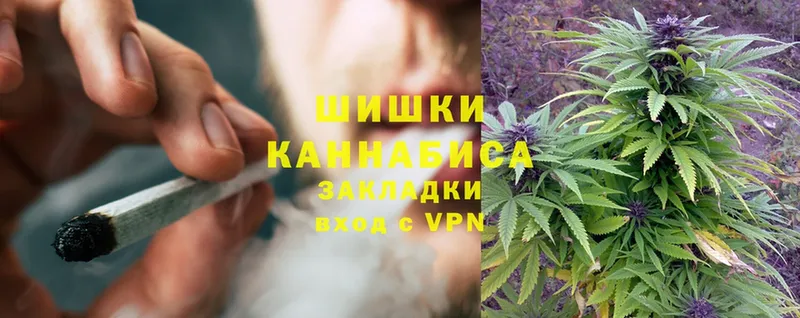 Марихуана THC 21%  Будённовск 